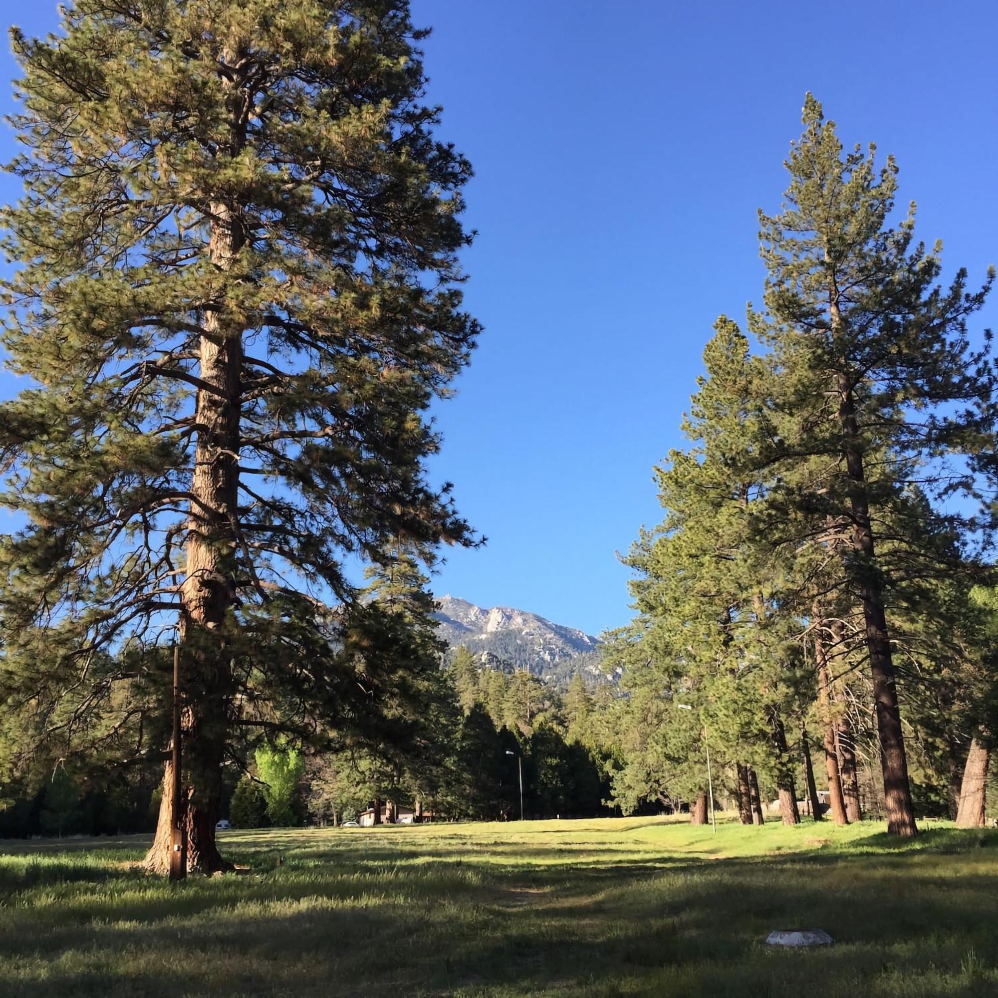Ahwahnee-Be Vintage Cabin - Walk To Town! Idyllwild Esterno foto